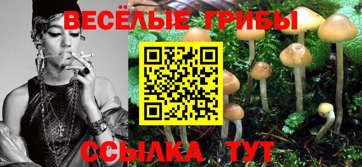 закладка  Вход с VPN  Норильск  Галлюциногенные грибы прущие грибы 