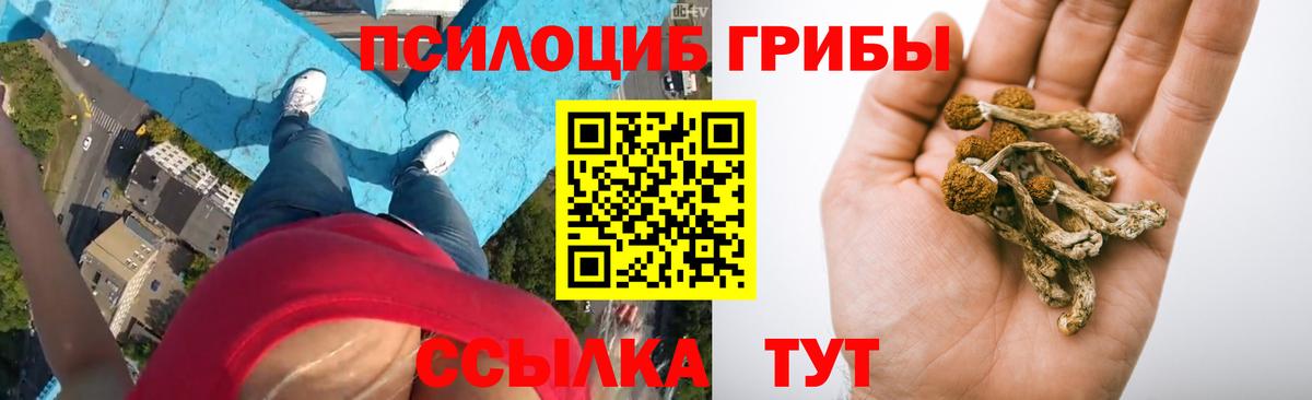 Галлюциногенные грибы Cubensis Норильск